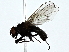  ( - BIOUG89991-D10)  @11 [ ] CreativeCommons - Attribution (2022) CBG Photography Group Centre for Biodiversity Genomics