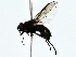  ( - BIOUG89991-F03)  @11 [ ] CreativeCommons - Attribution (2022) CBG Photography Group Centre for Biodiversity Genomics