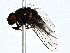  ( - BIOUG89991-F05)  @11 [ ] CreativeCommons - Attribution (2022) CBG Photography Group Centre for Biodiversity Genomics