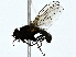  ( - BIOUG89991-F09)  @11 [ ] CreativeCommons - Attribution (2022) CBG Photography Group Centre for Biodiversity Genomics