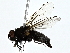  ( - BIOUG89994-F02)  @11 [ ] CreativeCommons - Attribution (2022) CBG Photography Group Centre for Biodiversity Genomics
