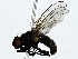  ( - BIOUG89994-F05)  @11 [ ] CreativeCommons - Attribution (2022) CBG Photography Group Centre for Biodiversity Genomics