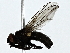  ( - BIOUG89994-F08)  @11 [ ] CreativeCommons - Attribution (2022) CBG Photography Group Centre for Biodiversity Genomics