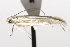  ( - TAMUICEGR-0165)  @13 [ ] CreativeCommons - Attribution (2010) CBG Photography Group Centre for Biodiversity Genomics