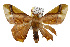  ( - TAMUICEGR-0180)  @14 [ ] CreativeCommons - Attribution (2010) CBG Photography Group Centre for Biodiversity Genomics
