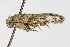  ( - TAMUICEGR-0203)  @12 [ ] CreativeCommons - Attribution (2010) CBG Photography Group Centre for Biodiversity Genomics