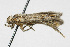  ( - TAMUICEGR-0204)  @12 [ ] CreativeCommons - Attribution (2010) CBG Photography Group Centre for Biodiversity Genomics