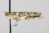  ( - TAMUICEGR-0205)  @12 [ ] CreativeCommons - Attribution (2010) CBG Photography Group Centre for Biodiversity Genomics
