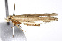  ( - TAMUICEGR-0209)  @12 [ ] CreativeCommons - Attribution (2010) CBG Photography Group Centre for Biodiversity Genomics