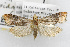  ( - TAMUICEGR-0279)  @14 [ ] CreativeCommons - Attribution (2010) CBG Photography Group Centre for Biodiversity Genomics