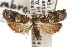  ( - TAMUICEGR-0308)  @13 [ ] CreativeCommons - Attribution (2010) CBG Photography Group Centre for Biodiversity Genomics