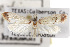  ( - TAMUICEGR-0319)  @14 [ ] CreativeCommons - Attribution (2010) CBG Photography Group Centre for Biodiversity Genomics