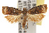  ( - TAMUICEGR-0344)  @13 [ ] CreativeCommons - Attribution (2010) CBG Photography Group Centre for Biodiversity Genomics