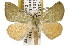  ( - TAMUICEGR-0694)  @14 [ ] CreativeCommons - Attribution (2010) CBG Photography Group Centre for Biodiversity Genomics