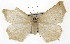  ( - TAMUICEGR-0727)  @14 [ ] CreativeCommons - Attribution (2010) CBG Photography Group Centre for Biodiversity Genomics