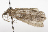  ( - TAMUICEGR-0740)  @13 [ ] CreativeCommons - Attribution (2010) CBG Photography Group Centre for Biodiversity Genomics