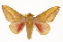  ( - TAMUICEGR-0786)  @15 [ ] CreativeCommons - Attribution (2010) CBG Photography Group Centre for Biodiversity Genomics