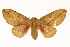  ( - TAMUICEGR-0787)  @14 [ ] CreativeCommons - Attribution (2010) CBG Photography Group Centre for Biodiversity Genomics