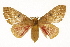  ( - TAMUICEGR-0789)  @13 [ ] CreativeCommons - Attribution (2010) CBG Photography Group Centre for Biodiversity Genomics
