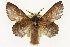 ( - TAMUICEGR-0821)  @13 [ ] CreativeCommons - Attribution (2010) CBG Photography Group Centre for Biodiversity Genomics