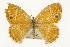  ( - TAMUICEGR-0918)  @11 [ ] CreativeCommons - Attribution (2010) CBG Photography Group Centre for Biodiversity Genomics