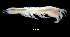  ( - ECOSUR-C1133)  @11 [ ] CreativeCommons - Attribution (2015) Jani Jarquin El Colegio de la Frontera Sur