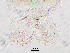  ( - sun106)  @11 [ ] CreativeCommons - Attribution Non-Commercial Share-Alike (2020) Xiaolong Lin College of Life Sciences, Nankai Unviersity