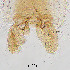  ( - sun109)  @11 [ ] CreativeCommons - Attribution Non-Commercial Share-Alike (2020) Xiaolong Lin College of Life Sciences, Nankai Unviersity