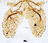  ( - sun119)  @11 [ ] CreativeCommons - Attribution Non-Commercial Share-Alike (2020) Xiaolong Lin College of Life Sciences, Nankai Unviersity
