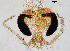  ( - sun133)  @11 [ ] CreativeCommons - Attribution Non-Commercial Share-Alike (2020) Xiaolong Lin College of Life Sciences, Nankai Unviersity