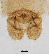  ( - sun168)  @11 [ ] CreativeCommons - Attribution Non-Commercial Share-Alike (2020) Xiaolong Lin College of Life Sciences, Nankai Unviersity
