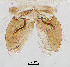  ( - sun222)  @11 [ ] CreativeCommons - Attribution Non-Commercial Share-Alike (2020) Xiaolong Lin College of Life Sciences, Nankai Unviersity