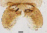  ( - sun244)  @11 [ ] CreativeCommons - Attribution Non-Commercial Share-Alike (2020) Xiaolong Lin College of Life Sciences, Nankai Unviersity