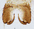  ( - sun289)  @11 [ ] CreativeCommons - Attribution Non-Commercial Share-Alike (2020) Xiaolong Lin College of Life Sciences, Nankai Unviersity