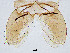  ( - sun291)  @11 [ ] CreativeCommons - Attribution Non-Commercial Share-Alike (2020) Xiaolong Lin College of Life Sciences, Nankai Unviersity