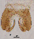  ( - sun30)  @11 [ ] CreativeCommons - Attribution Non-Commercial Share-Alike (2020) Xiaolong Lin College of Life Sciences, Nankai Unviersity