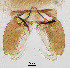  ( - sun301)  @11 [ ] CreativeCommons - Attribution Non-Commercial Share-Alike (2020) Xiaolong Lin College of Life Sciences, Nankai Unviersity