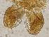  ( - sun332)  @11 [ ] CreativeCommons - Attribution Non-Commercial Share-Alike (2020) Xiaolong Lin College of Life Sciences, Nankai Unviersity