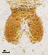  ( - sun344)  @11 [ ] CreativeCommons - Attribution Non-Commercial Share-Alike (2020) Xiaolong Lin College of Life Sciences, Nankai Unviersity