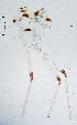  ( - sun353)  @12 [ ] CreativeCommons - Attribution Non-Commercial Share-Alike (2020) Xiaolong Lin College of Life Sciences, Nankai Unviersity