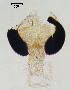  ( - sun354)  @12 [ ] CreativeCommons - Attribution Non-Commercial Share-Alike (2020) Xiaolong Lin College of Life Sciences, Nankai Unviersity