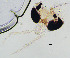  ( - sun367)  @11 [ ] CreativeCommons - Attribution Non-Commercial Share-Alike (2020) Xiaolong Lin College of Life Sciences, Nankai Unviersity