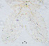  ( - sun377)  @11 [ ] CreativeCommons - Attribution Non-Commercial Share-Alike (2020) Xiaolong Lin College of Life Sciences, Nankai Unviersity