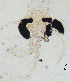  ( - sun380)  @11 [ ] CreativeCommons - Attribution Non-Commercial Share-Alike (2020) Xiaolong Lin College of Life Sciences, Nankai Unviersity