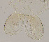  ( - sun385)  @11 [ ] CreativeCommons - Attribution Non-Commercial Share-Alike (2020) Xiaolong Lin College of Life Sciences, Nankai Unviersity