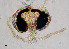  ( - sun4)  @11 [ ] CreativeCommons - Attribution Non-Commercial Share-Alike (2020) Xiaolong Lin College of Life Sciences, Nankai Unviersity