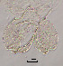  ( - sun43)  @11 [ ] CreativeCommons - Attribution Non-Commercial Share-Alike (2020) Xiaolong Lin College of Life Sciences, Nankai Unviersity