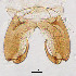  ( - sun44)  @11 [ ] CreativeCommons - Attribution Non-Commercial Share-Alike (2020) Xiaolong Lin College of Life Sciences, Nankai Unviersity