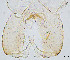  ( - sun485)  @12 [ ] CreativeCommons - Attribution Non-Commercial Share-Alike (2020) Xiaolong Lin College of Life Sciences, Nankai Unviersity