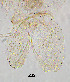  ( - sun73)  @11 [ ] CreativeCommons - Attribution Non-Commercial Share-Alike (2020) Xiaolong Lin College of Life Sciences, Nankai Unviersity
